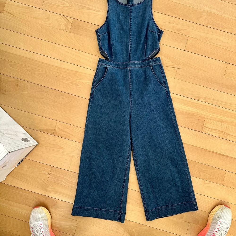 Women's Blue Denim Jumpsuit Express